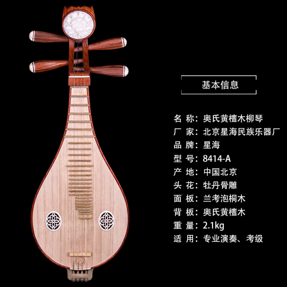 Beijing Xinghai 8414-A Rosewoo - Musical Instruments recensie en prijs