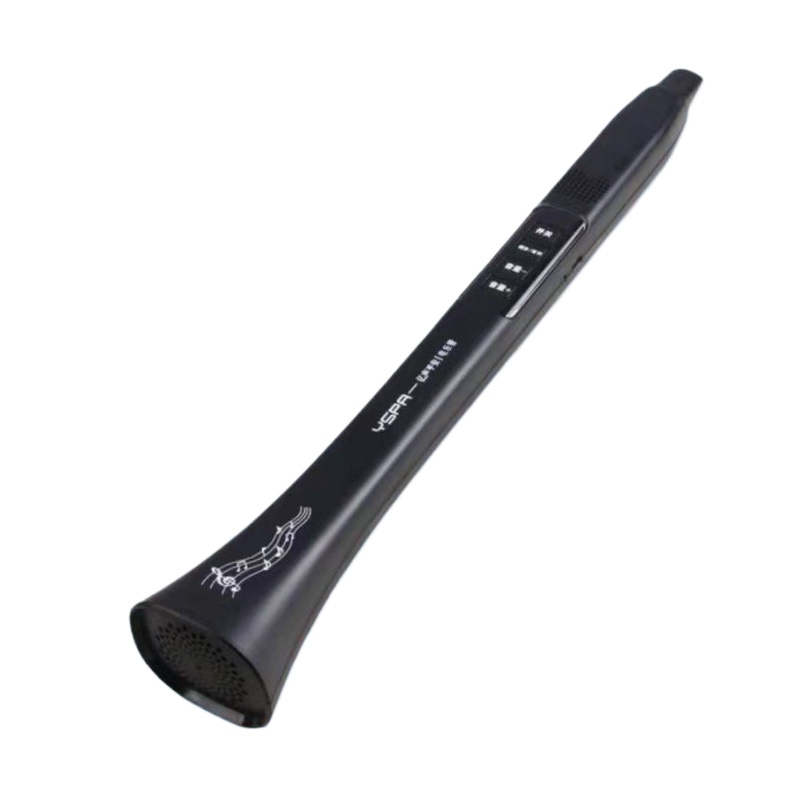 Portable Electronic Wind Instr - Musical Instruments recensie en prijs