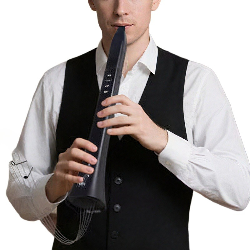 Portable Electronic Wind Instr - Musical Instruments recensie en prijs