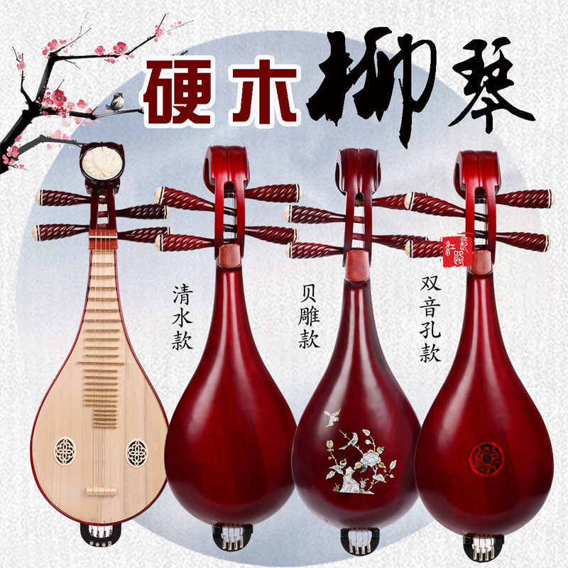 Professional Performance & Gra - Musical Instruments recensie en prijs
